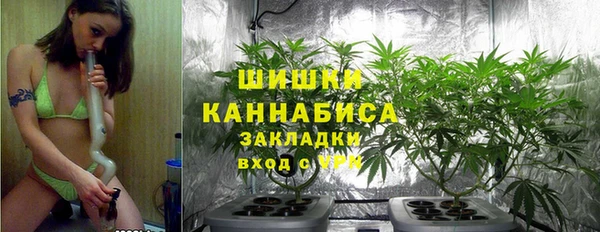 spice Ельня