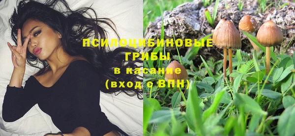 герыч Заводоуковск