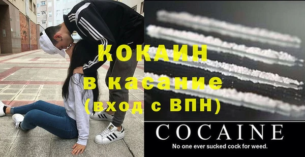 прущие грибы Елизово